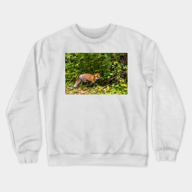 A pleasant encounter on Mount Olympus Crewneck Sweatshirt by Cretense72